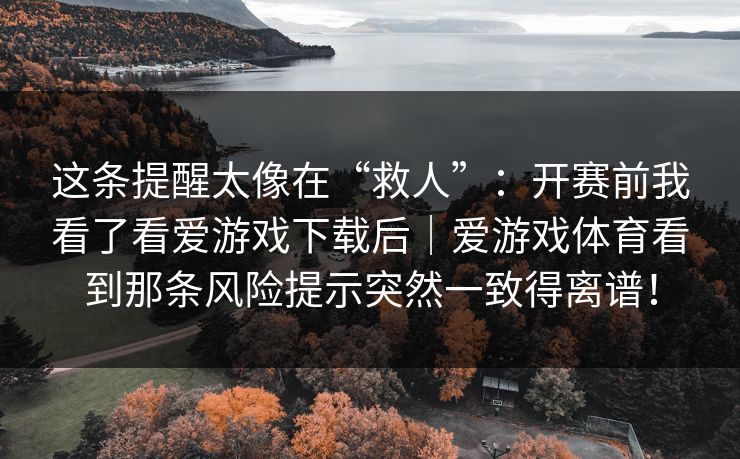 这条提醒太像在“救人”：开赛前我看了看爱游戏下载后｜爱游戏体育看到那条风险提示突然一致得离谱！