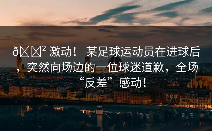 😲 激动！ 某足球运动员在进球后，突然向场边的一位球迷道歉，全场“反差”感动！